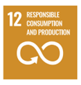 RESPONSIBLE CONSUMPTION AND PRODUCTION